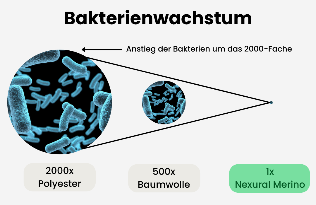 Die Abbildung mit dem Titel „Bakterienwachstum“ zeigt Bakterienwachstum auf verschiedenen Stoffen: 2000x auf Polyester, 500x auf Baumwolle und minimal (1x) auf Nexural Merino. Jeder Stofftyp ist mit dem entsprechenden Bakterienbild dargestellt. Text in Deutsch.